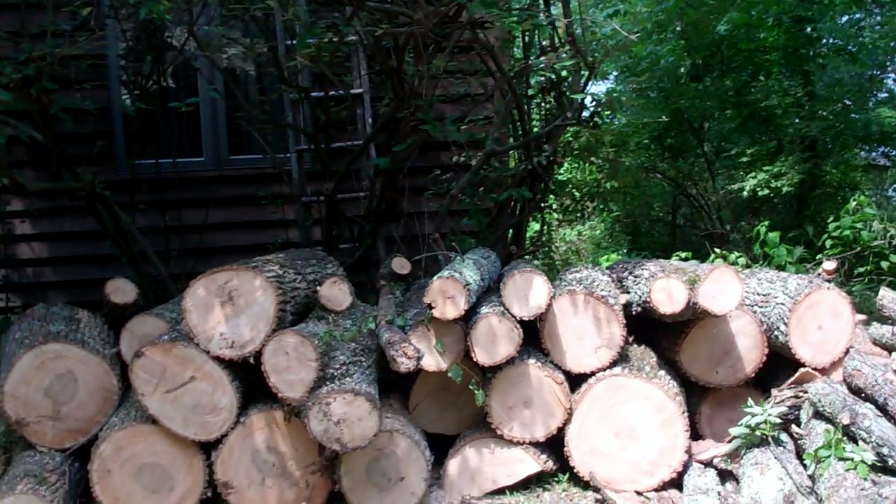 Stack of Dead Ash Wood